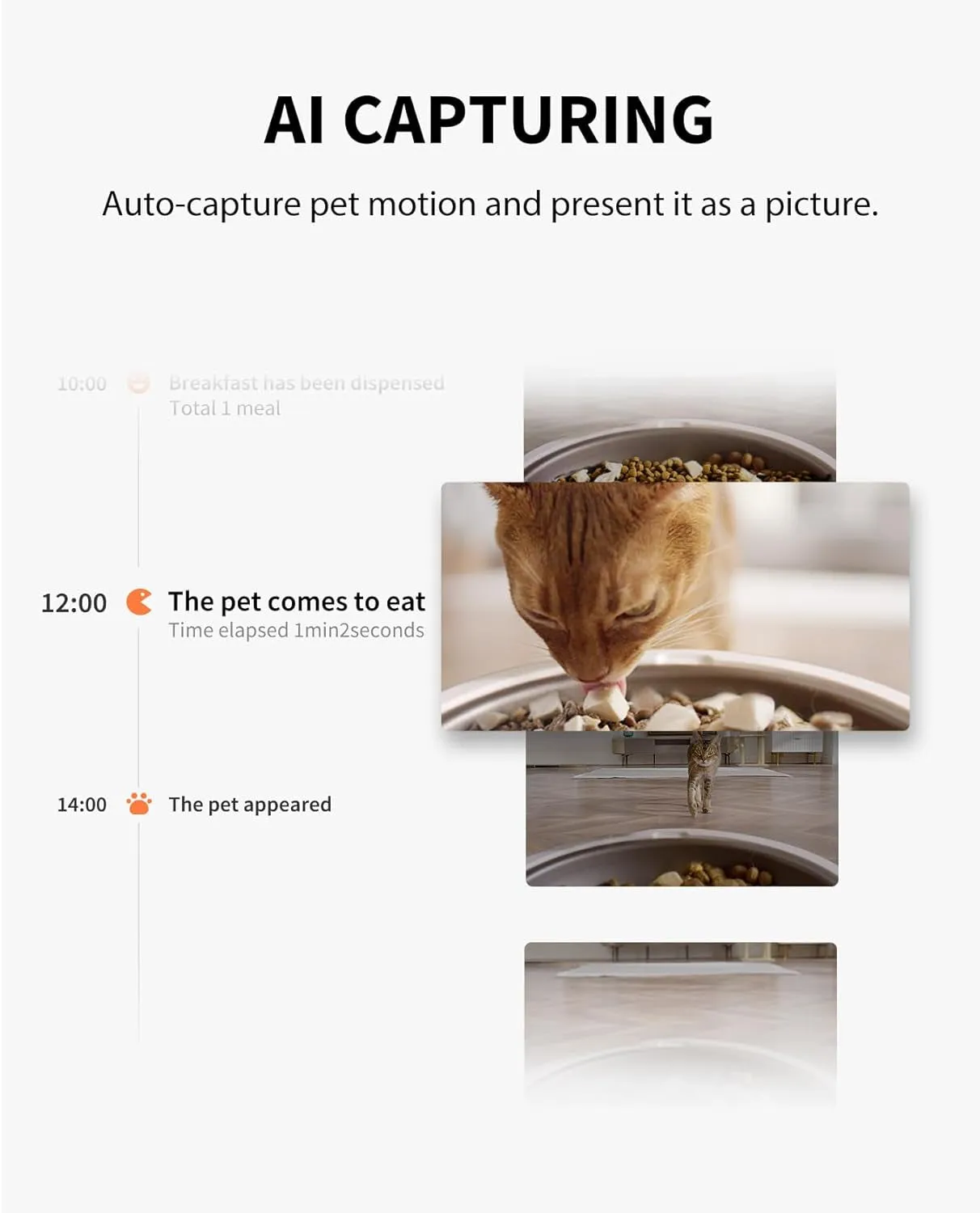 Automatic Pet Feeder with Camera