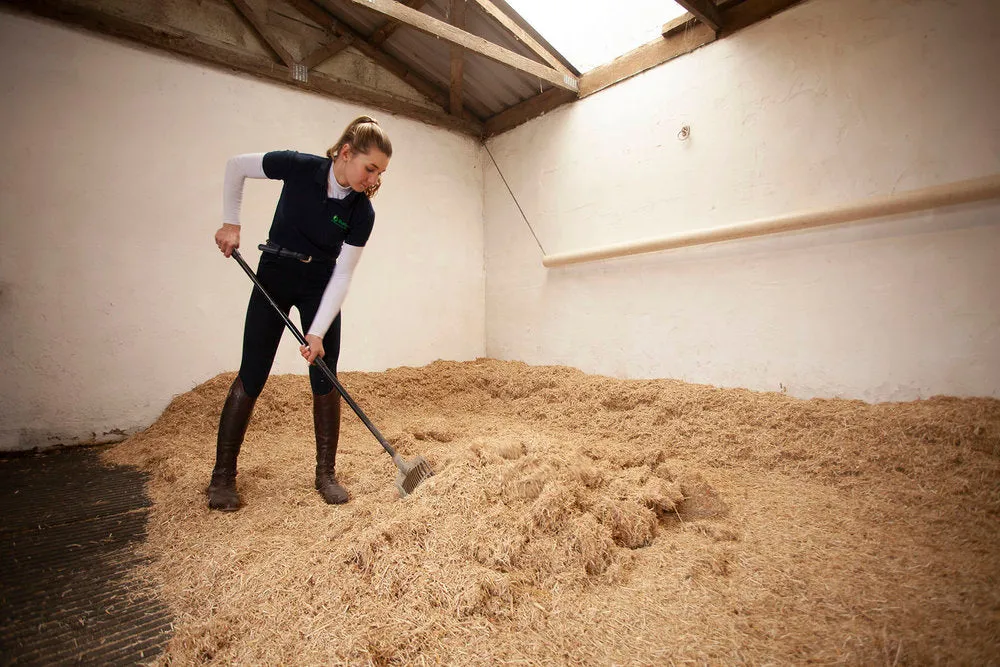 BurlyBed Original Miscanthus Bedding