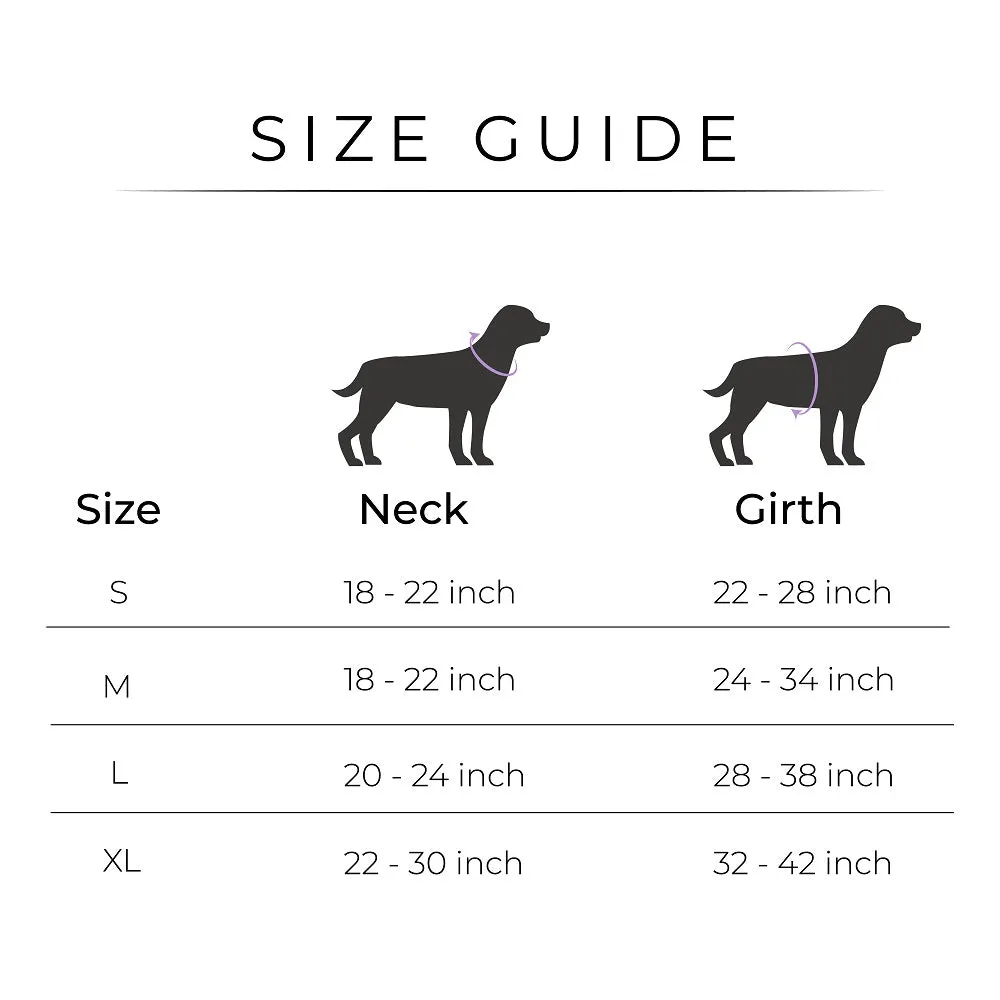 Dear Pet Majestic Unicorns Dog Harness