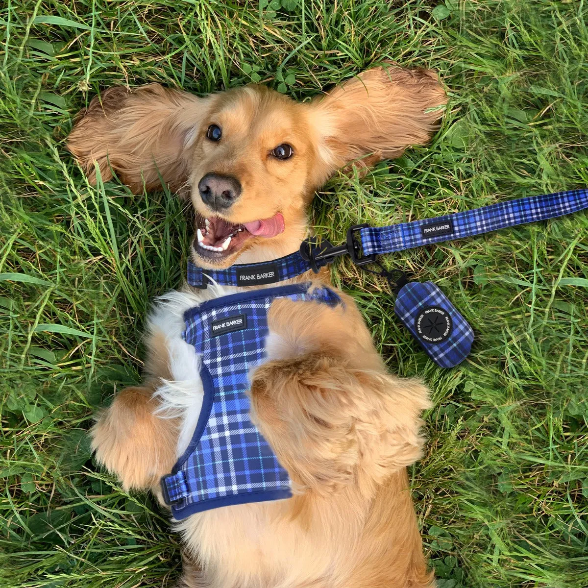 Dog Lead