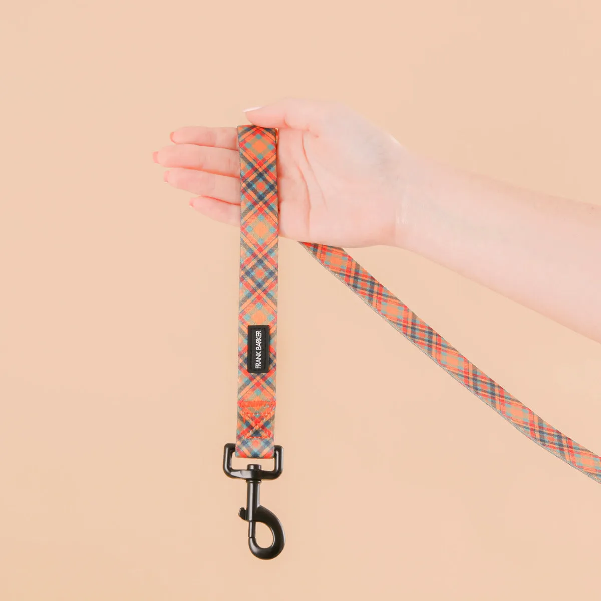 Dog Lead