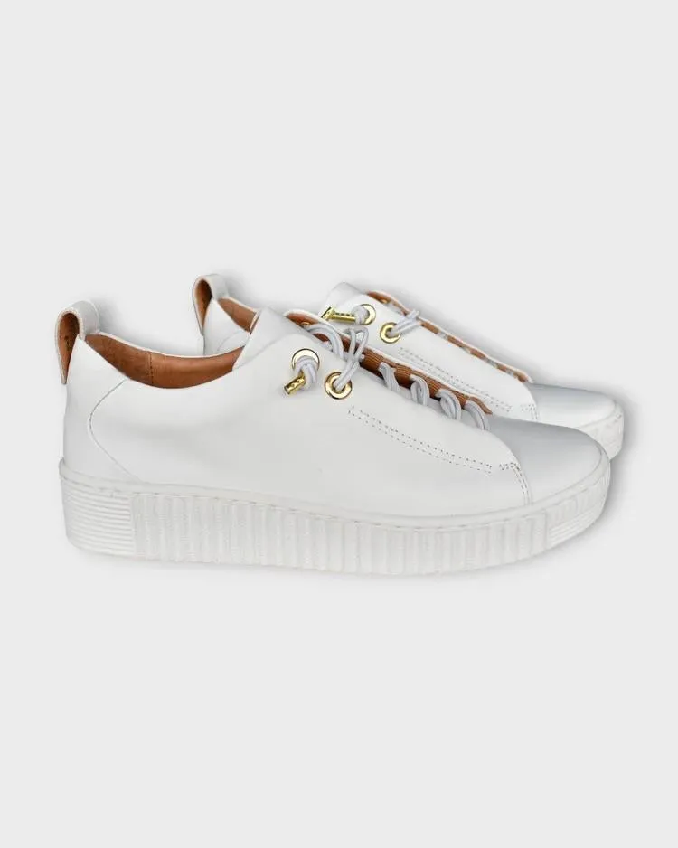 Jool Canvas Shoes