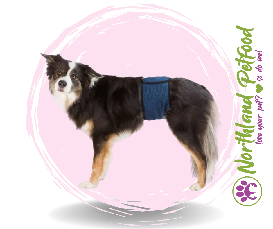 SALE 25% OFF -- Belly Bands for Male Dogs