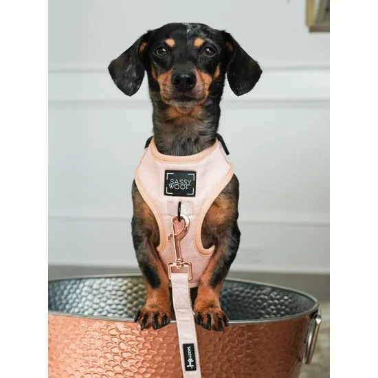 Sassy Woof Adjustable Dog Harness - Various Colours